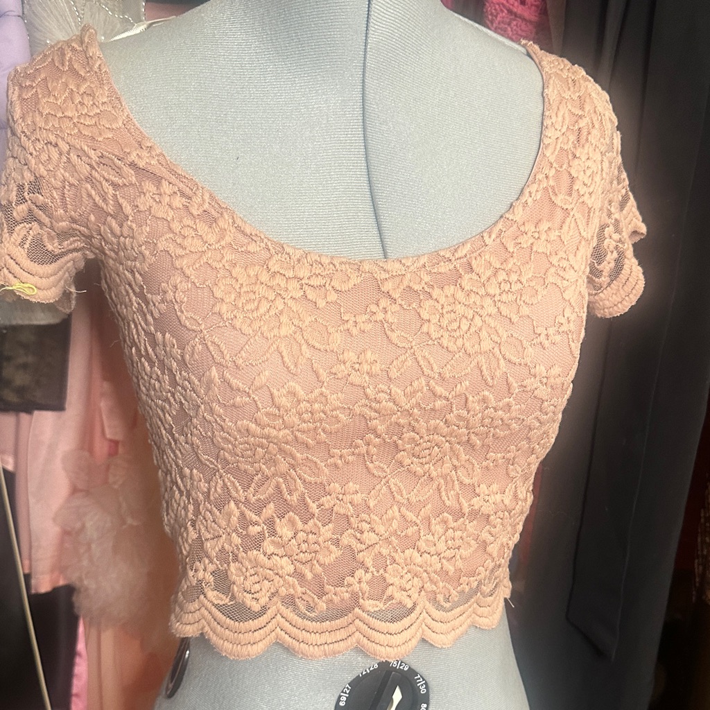 Forever 21 Blush Floral Lace Crop Top
